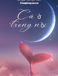 Cá Ở Trong Nồi