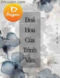 Đóa Hoa Của Trình Vân