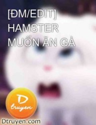 Hamster Muốn Ăn Gà