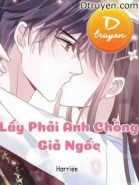 Lấy Phải Anh Chồng Giả Ngốc