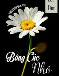 Bông Cúc Nhỏ