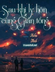 Sau Khi Ly Hôn Cùng Giản Tổng